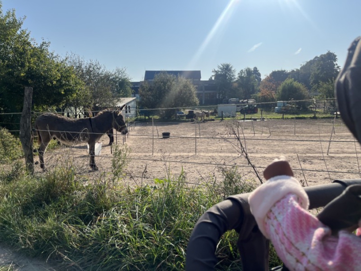 Kindertagespflege Regenbogen in Düsseldorf Kalkum: schnell zu erreichen von Wittlaer/Kaiserswerth