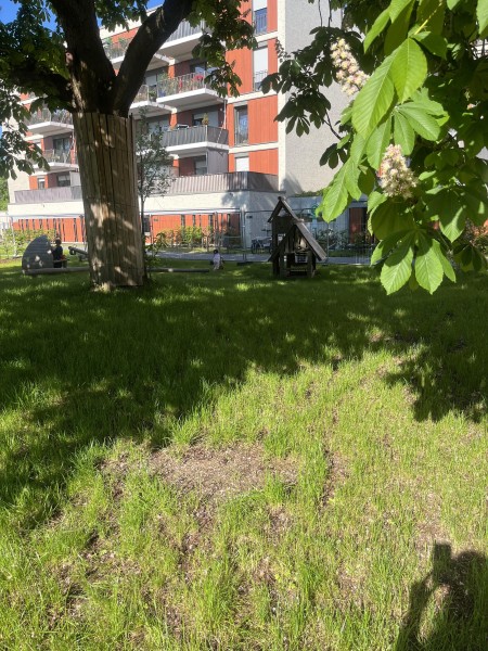 Kindertagespflege Regenbogen in Düsseldorf Kalkum